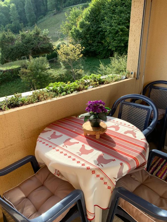 סן-לארי-סולאן Appartement Vue Montagne Avec Wifi מראה חיצוני תמונה